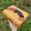 Karambit ✩ | Crimson Web