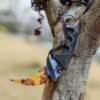 Karambit ✩ | Hardened