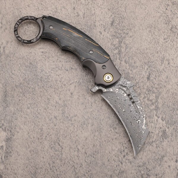 Damascus Steel Karambit