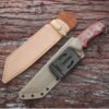 Shark Teeth Knife