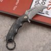 Damascus Steel Karambit