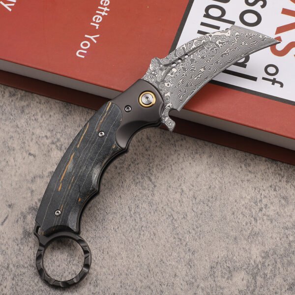 Damascus Steel Karambit