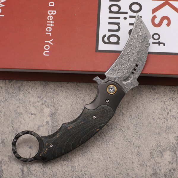 Damascus Steel Karambit