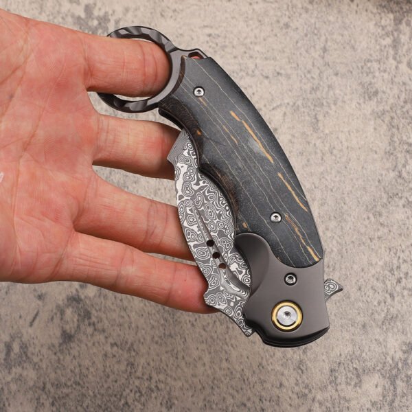Damascus Steel Karambit